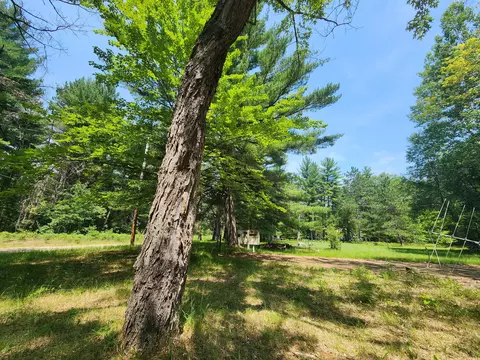 237 Holtz Road Mio Mi 48647 Rd, Mio, MI 48647 photo 9