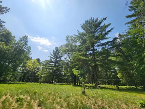 237 Holtz Road Mio Mi 48647 Rd, Mio, MI 48647 photo 14