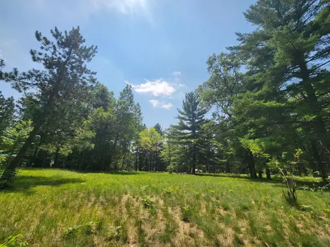 237 Holtz Road Mio Mi 48647 Rd, Mio, MI 48647 photo 15