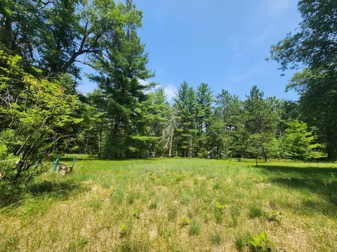 237 Holtz Road Mio Mi 48647 Rd, Mio, MI 48647 photo 11