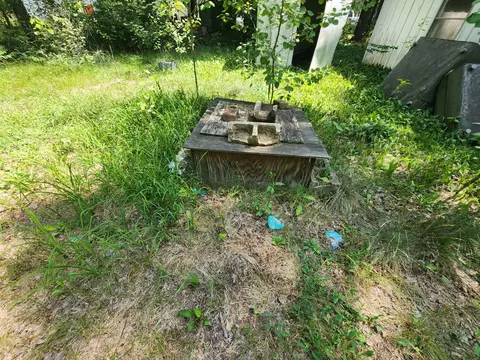 237 Holtz Road Mio Mi 48647 Rd, Mio, MI 48647 photo 21