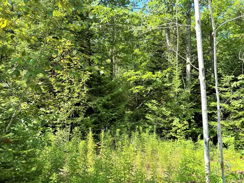 us-23 highway, Ocqueoc, MI 49759 photo 12