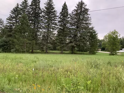 1038 N Emerson Rd, Herron, MI 49744