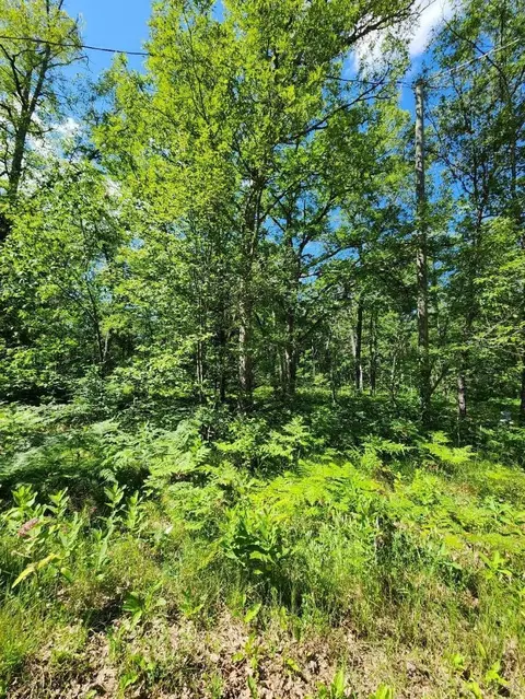 110 Loon Ln, Saint Helen, MI 48656