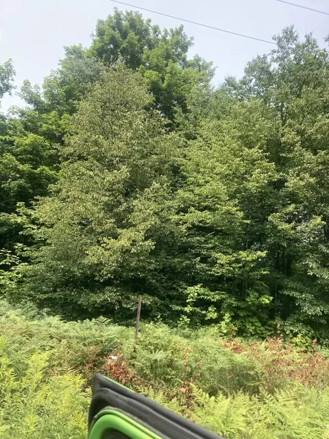 lot251 Willowbrook Circle 61 Acres Mancelona Mi 49659 Cir #.61 ACRES, Mancelona, MI 49659
