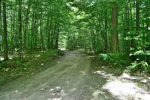 Maple Hill, Fairview, MI 48621 photo 15