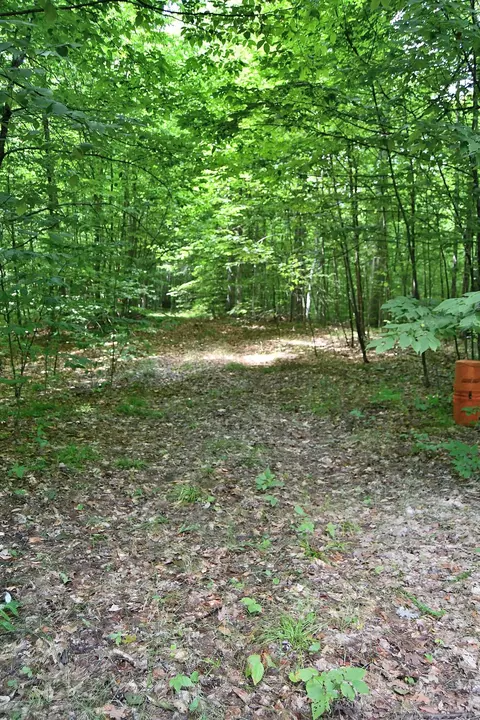 Maple Hill, Fairview, MI 48621 photo 12