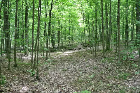 Maple Hill, Fairview, MI 48621 photo 4