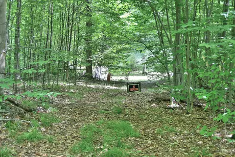 Maple Hill, Fairview, MI 48621 photo 13