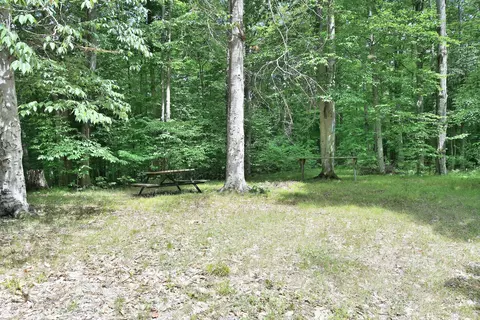 Maple Hill, Fairview, MI 48621 photo 9