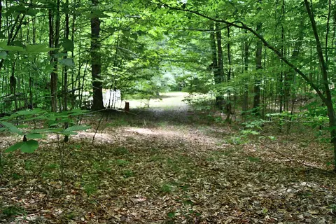 Maple Hill, Fairview, MI 48621