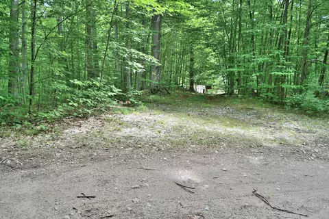 Maple Hill, Fairview, MI 48621 photo 14