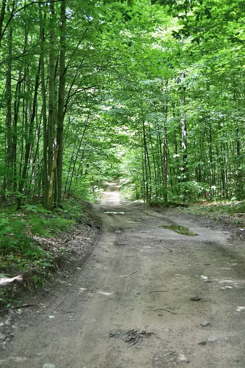 Maple Hill, Fairview, MI 48621 photo 5