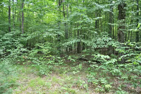 Maple Hill, Fairview, MI 48621 photo 10