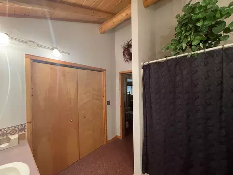 11365 Bradford Dr, Frederic, MI 49733 photo 24
