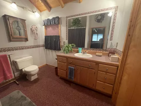 11365 Bradford Dr, Frederic, MI 49733 photo 23