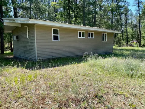 8191 Van Trl, Marion, MI 49665 photo 4