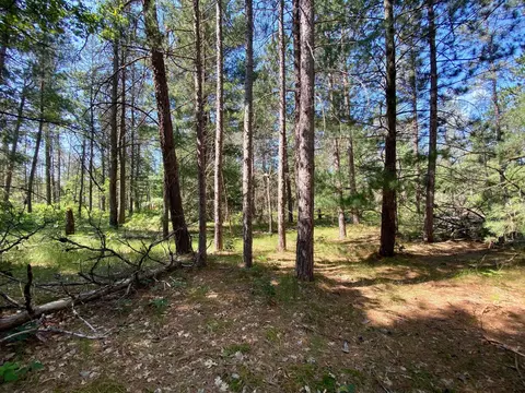 8191 Van Trl, Marion, MI 49665 photo 13