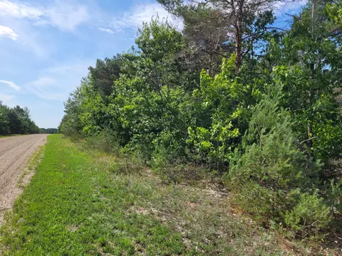 Bonter Court, Cheboygan, MI 49721