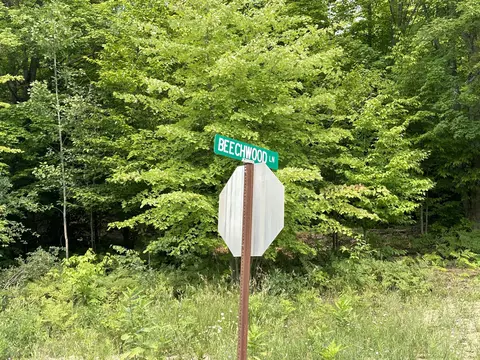 Beechwood Lane, Frederic, MI 49733 photo 5