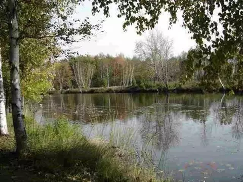 000 No Wake Court Apt 11 Houghton Lake Mi 48629 Ct # 11, Houghton Lake, MI 48629