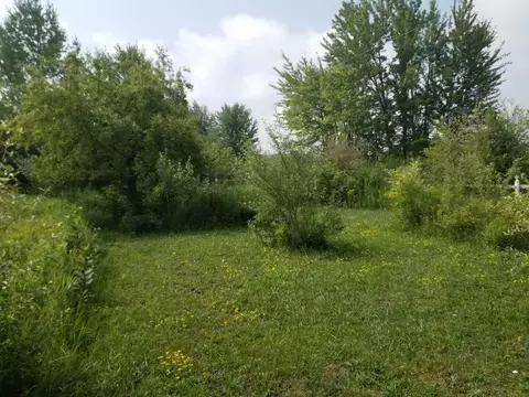 2875 Morris Road Herron Mi 49744, Herron, MI 49744 photo 12