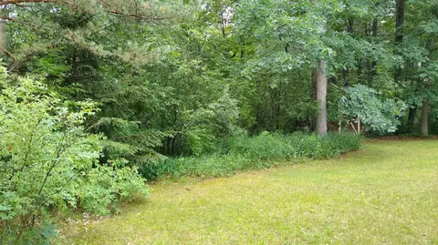 3599 Co Rd 612 #LOT 38, Lewiston, MI 49756