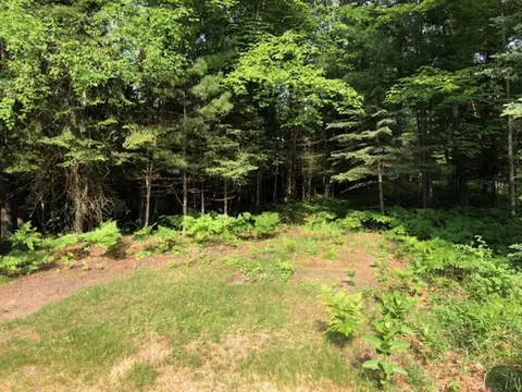 119 Vernor Lane Grayling Mi 49738 Ln, Grayling, MI 49738 photo 46