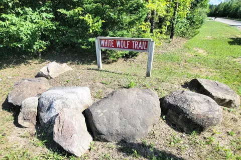 Unit 5 White Wolf Trail #1.01 AC, Alanson, MI 49706