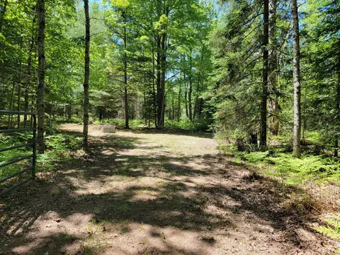 Bucktail Drive, Saint Helen, MI 48656