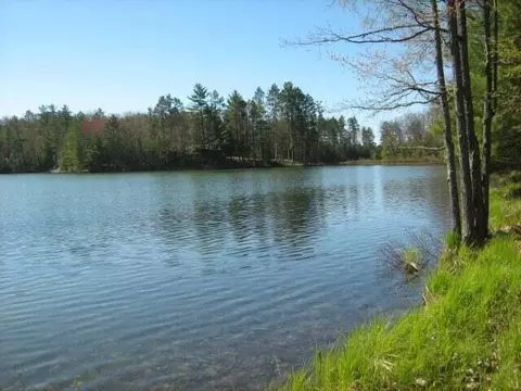 Parcel B N Lake Louise Road, Hawks, MI 49743