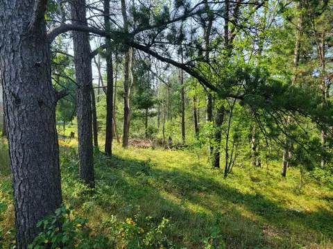 Sutherby/lidia, Saint Helen, MI 48656