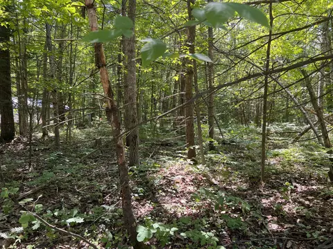 lot S 13-16 Scenic Trl, Gaylord, MI 49735