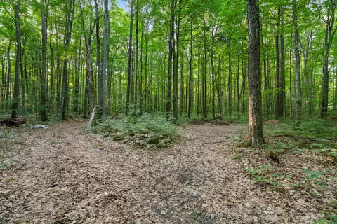 8410 Brudy Road Wolverine Mi 49799 Rd, Wolverine, MI 49799 photo 46