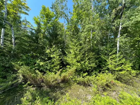 W Renwick Circle, Presque Isle, MI 49777