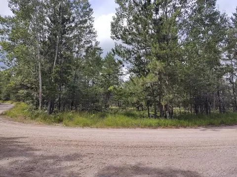 Rainy Lake Road, Millersburg, MI 49759