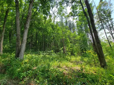 Kassuba Road, Gaylord, MI 49735