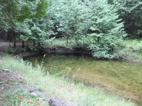7351 Hamilton Rd, Alpena, MI 49707 photo 22