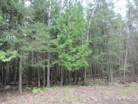 7351 Hamilton Rd, Alpena, MI 49707 photo 34