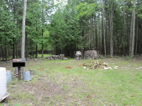 7351 Hamilton Rd, Alpena, MI 49707 photo 40