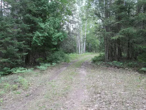 7351 Hamilton Rd, Alpena, MI 49707 photo 42