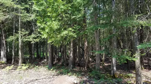 7351 Hamilton Rd, Alpena, MI 49707 photo 25