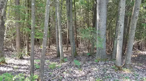 7351 Hamilton Rd, Alpena, MI 49707 photo 32