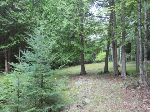 7351 Hamilton Rd, Alpena, MI 49707 photo 37
