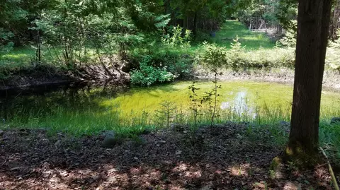7351 Hamilton Rd, Alpena, MI 49707 photo 18