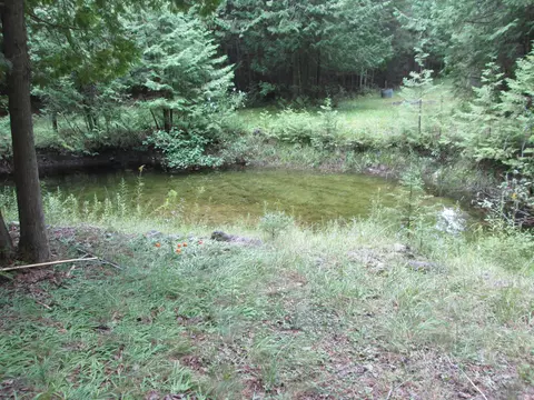 7351 Hamilton Rd, Alpena, MI 49707 photo 21