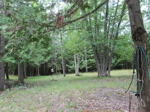 7351 Hamilton Rd, Alpena, MI 49707 photo 35