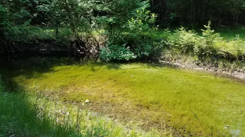 7351 Hamilton Rd, Alpena, MI 49707 photo 20