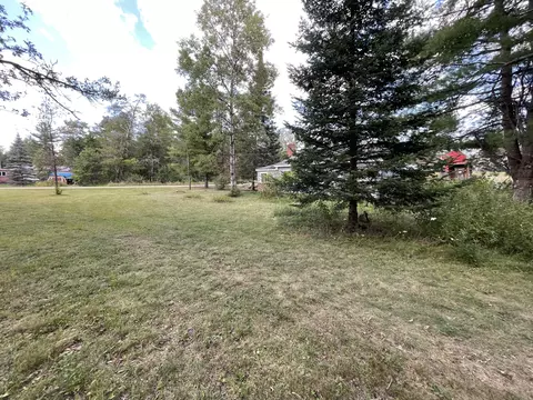 2299 Park Rd, Mio, MI 48647