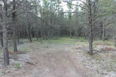 Trapper's Trail, Grayling, MI 49738 photo 6